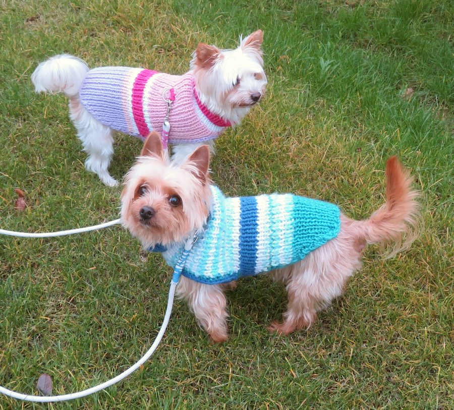 Winter Sweater (sample stock image)