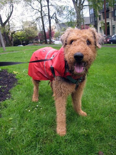 Raincoat (sample stock image)
