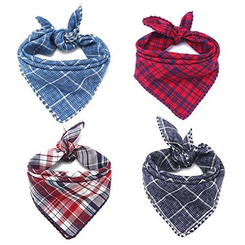 Festive Bandana (sample stock image)