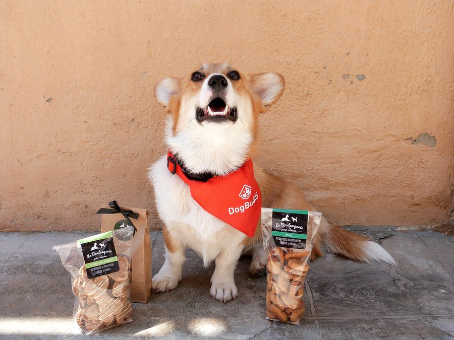 Training Treats (sample stock image)